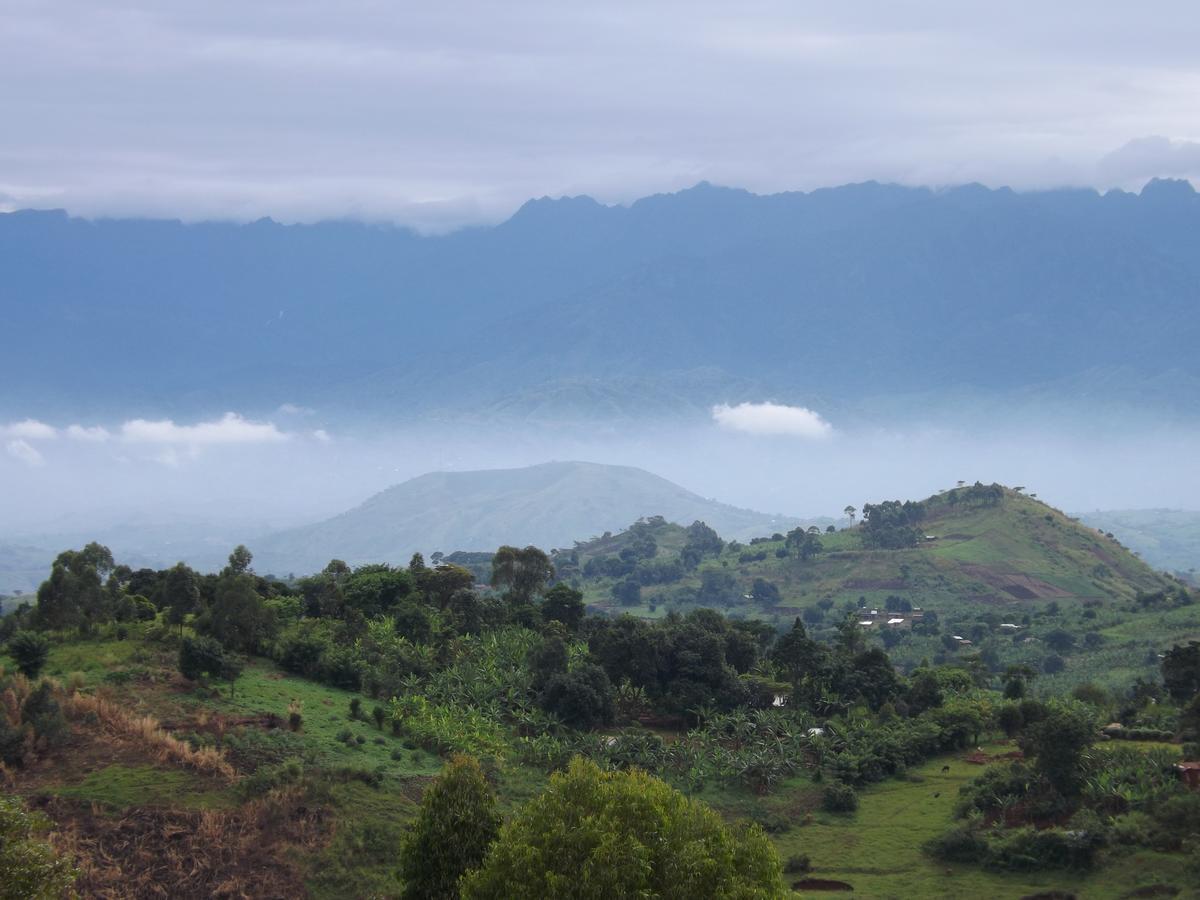Isunga Lodge Kibale National Park Luaran gambar